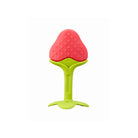 Teethin SMART EZ Grip Fruit Teether - innobaby