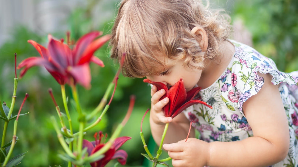 Spring Outings and Your Toddler