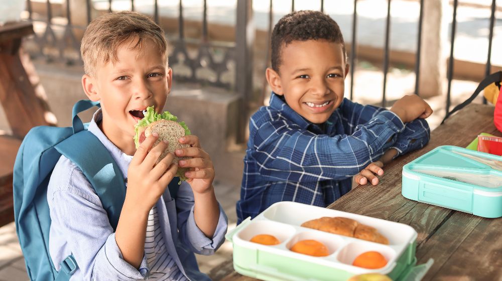 How to Stop a Moldy Lunchbox - innobaby