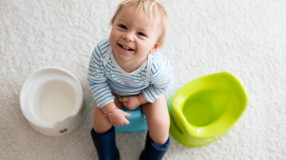 It's Potty Time! Toddler Training Tips - innobaby