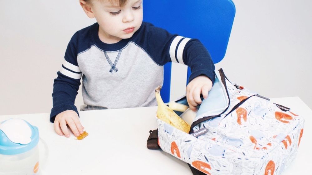 Kinderspel Insulated Toddler Backpack With Tether – REVIEW - innobaby