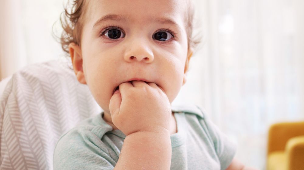 Let's Talk About Teething - innobaby