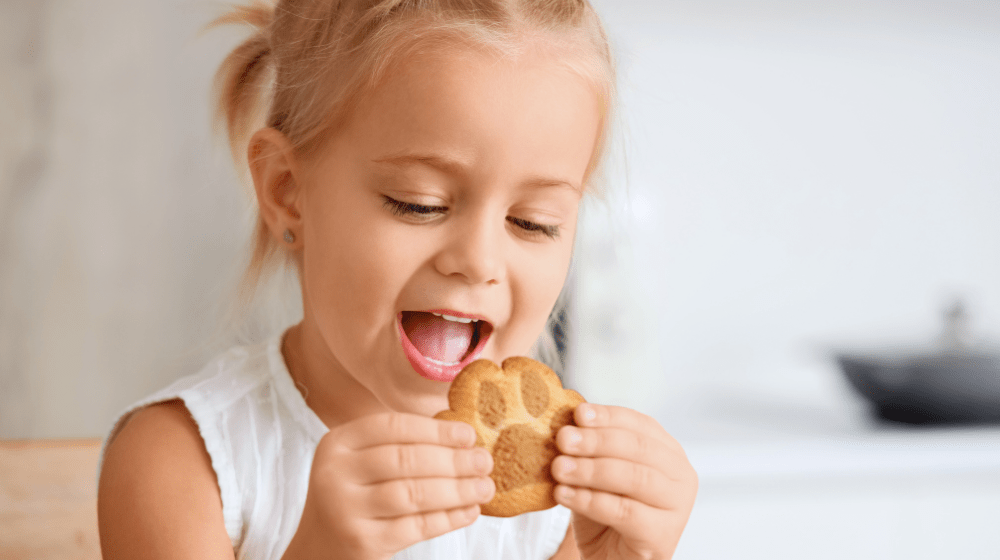 Let's Talk About Toddler Snacks! - innobaby