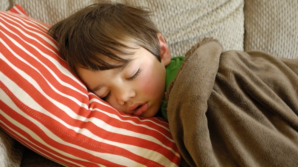 New Year Refresh: Nap Essentials for Toddlers - innobaby