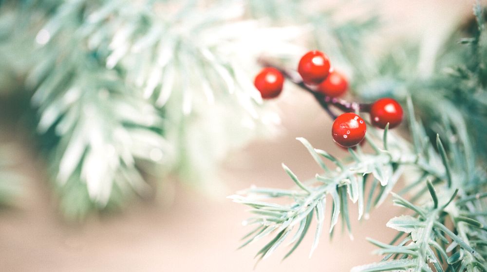 Simple #2020 Holiday Memories: Spreading Cheer in quite the year - innobaby