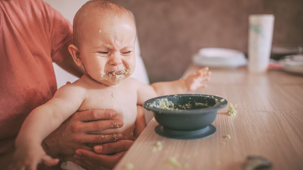 Understanding Oral Development - innobaby