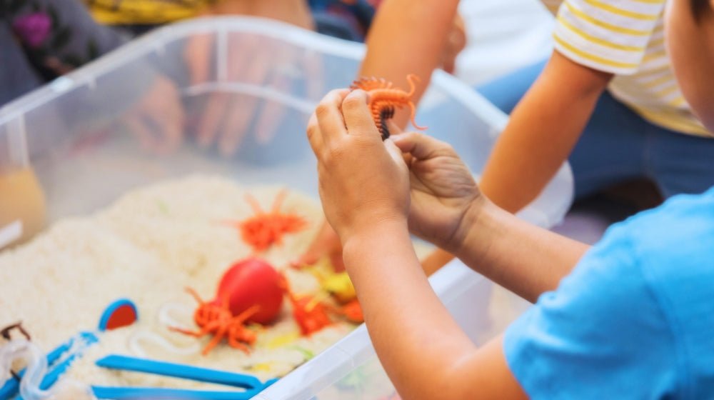 What is a Sensory Kid? - innobaby