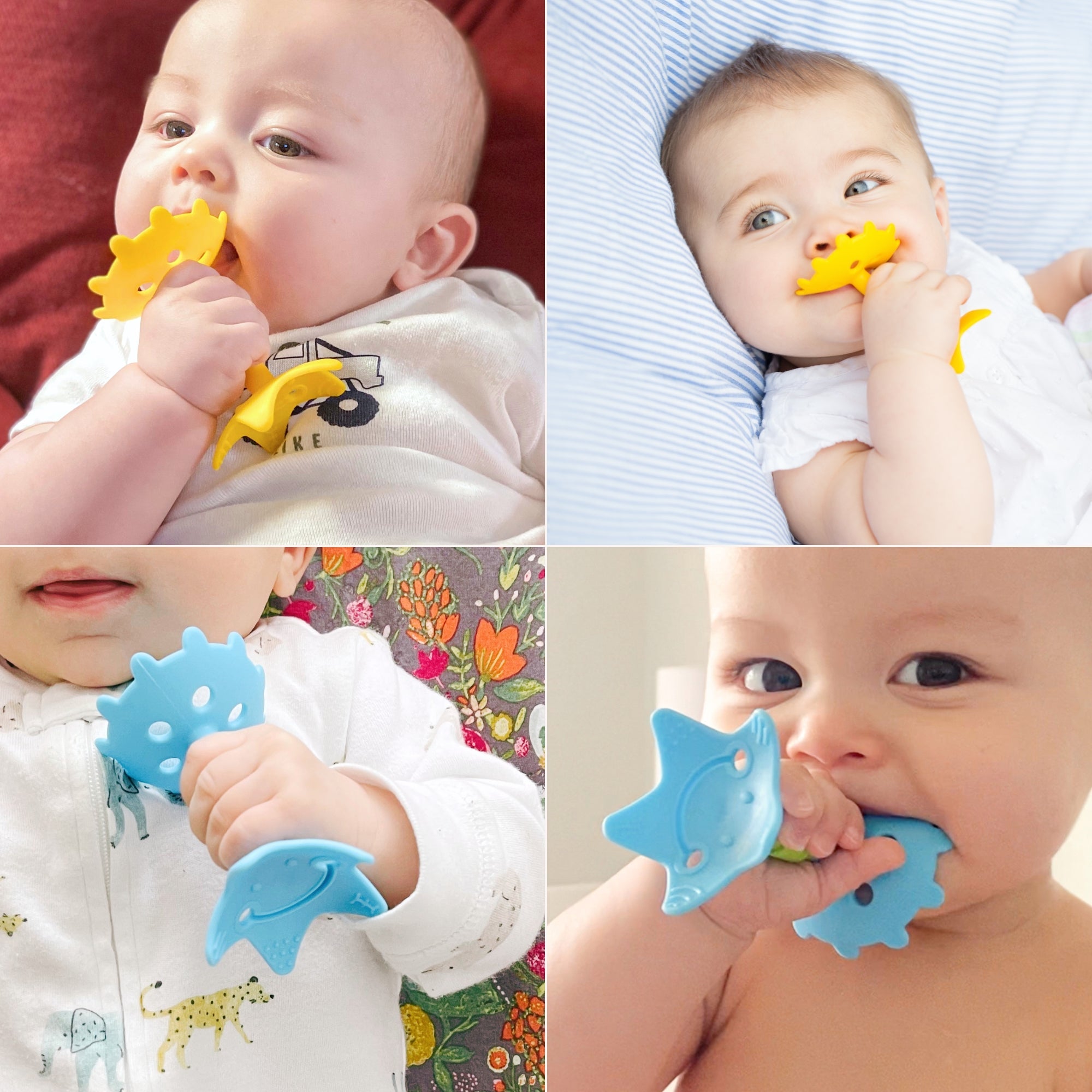 EZ Grip Star Teether / Oral Sensory Developmental Toy - innobaby