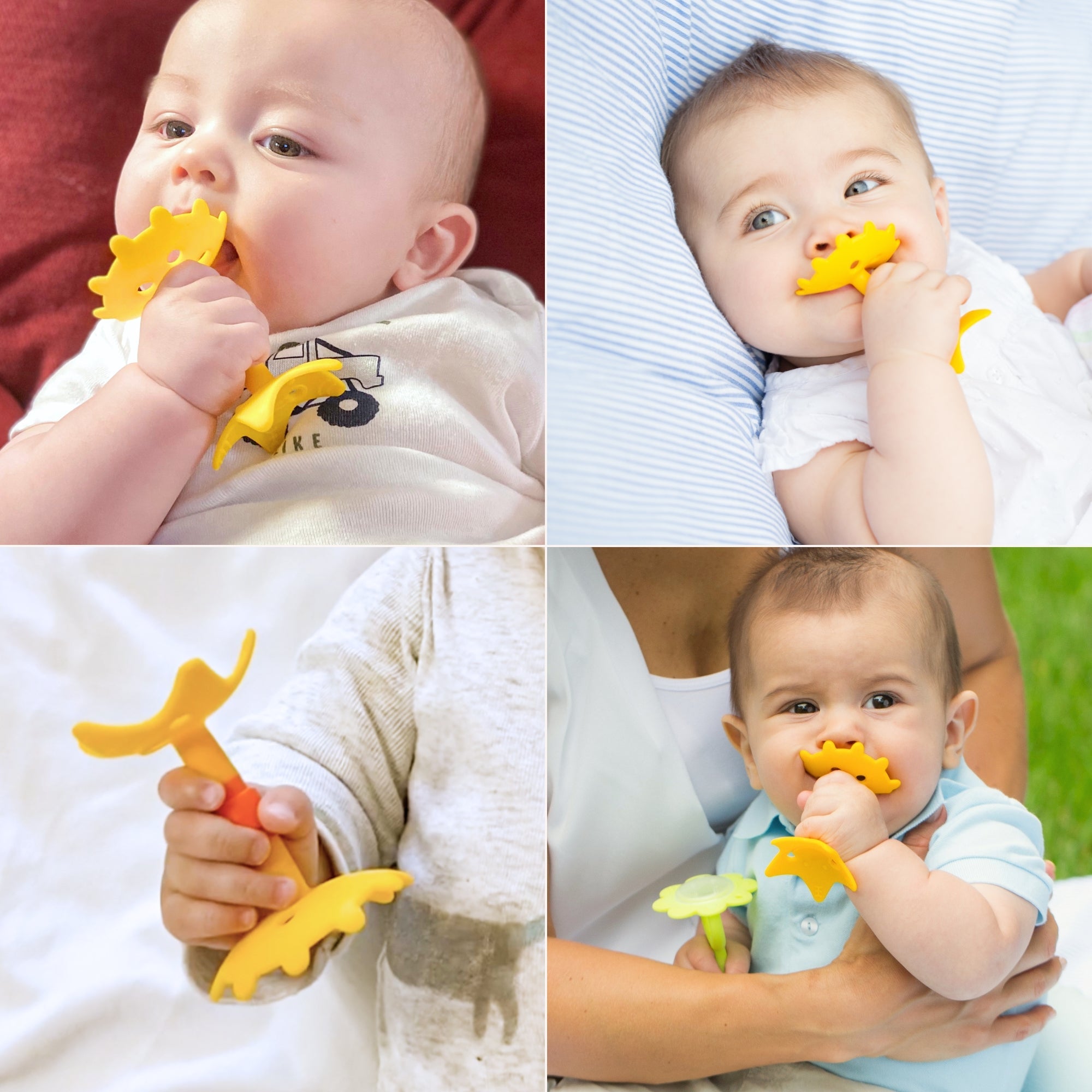 EZ Grip Star Teether / Oral Sensory Developmental Toy - innobaby