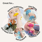 EZ Grip Star Teether / Oral Sensory Developmental Toy - innobaby