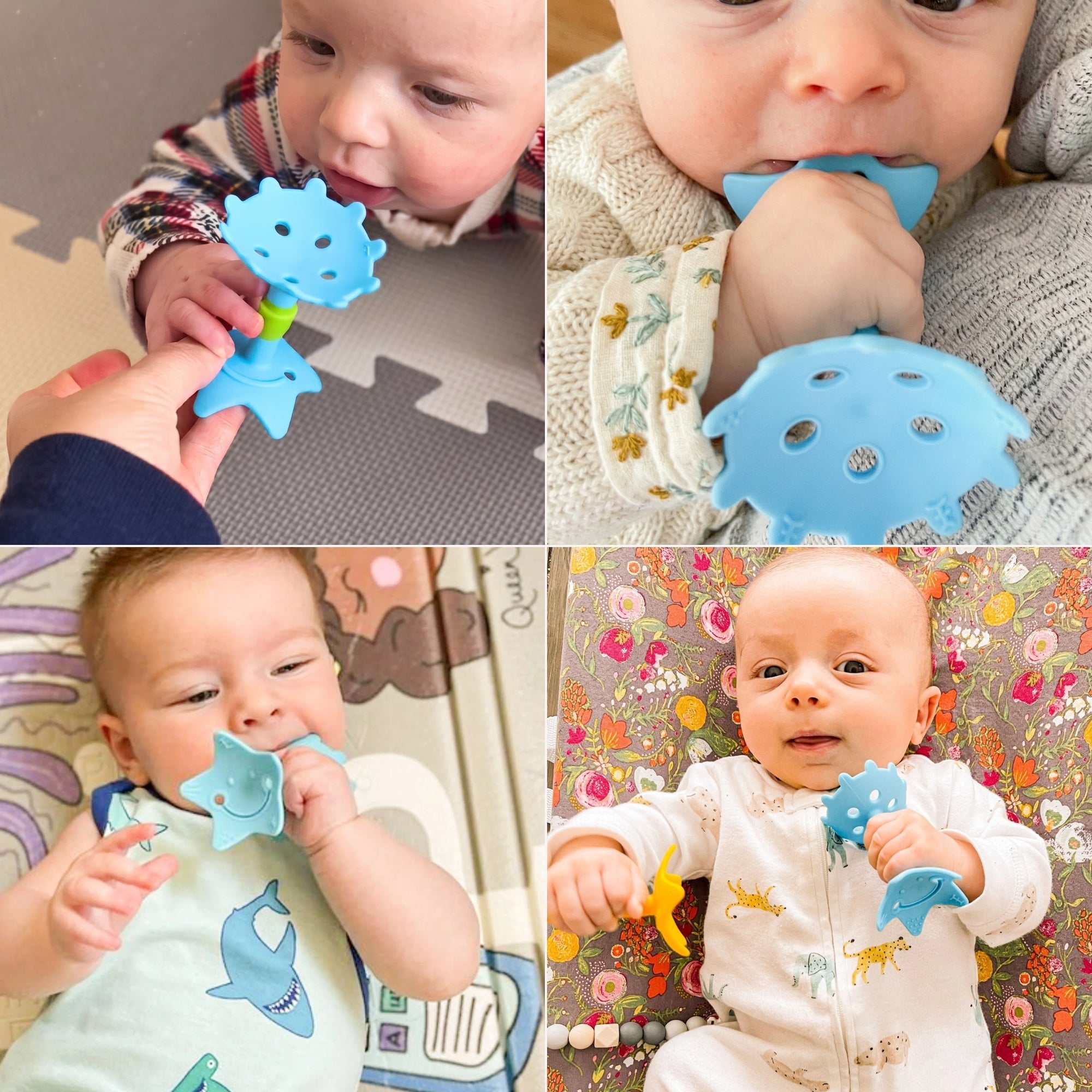 EZ Grip Star Teether / Oral Sensory Developmental Toy - innobaby
