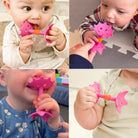 EZ Grip Star Teether / Oral Sensory Developmental Toy - innobaby