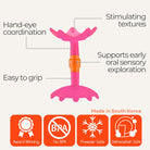 EZ Grip Star Teether / Oral Sensory Developmental Toy - innobaby
