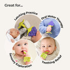 Innobaby Teethin SMART EZ Grip Fruit Teether - innobaby