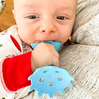 Teething Starter Set (Includes Star Teether, Mini Fish, Organic Cotton Bib) - innobaby