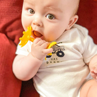 EZ Grip Star Teether / Oral Sensory Developmental Toy - innobaby