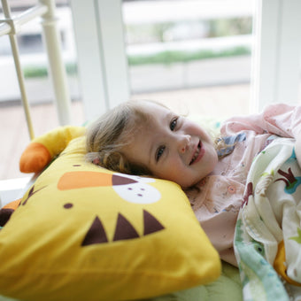 Milo & Gabby Toddler Pillowcase - innobaby