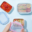 Stainless Mini Lunchbox / 16 oz / Alligator - innobaby