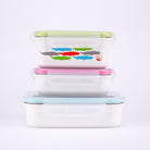 Stainless Mini Lunchbox / 16 oz / Alligator - innobaby