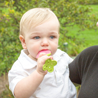 Teethin SMART EZ Grip Fruit Teether - innobaby