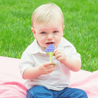 Teethin SMART EZ Grip Fruit Teether - innobaby